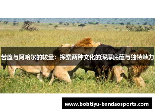 苦盏与阿哈尔的较量：探索两种文化的深厚底蕴与独特魅力